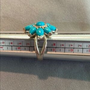 Carolyn Pollack Blue and Silver Statement Ring